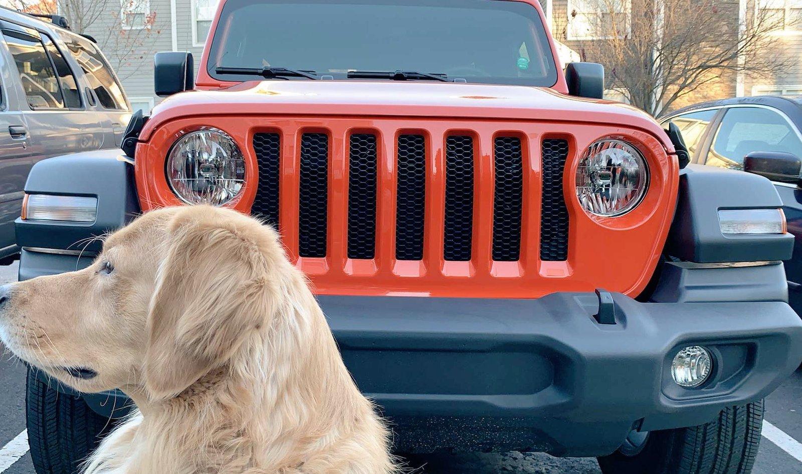 Jeep Wrangler JL Jeep Dog pics E1338B87-C40F-4EB2-A592-C54AEB54BB3A