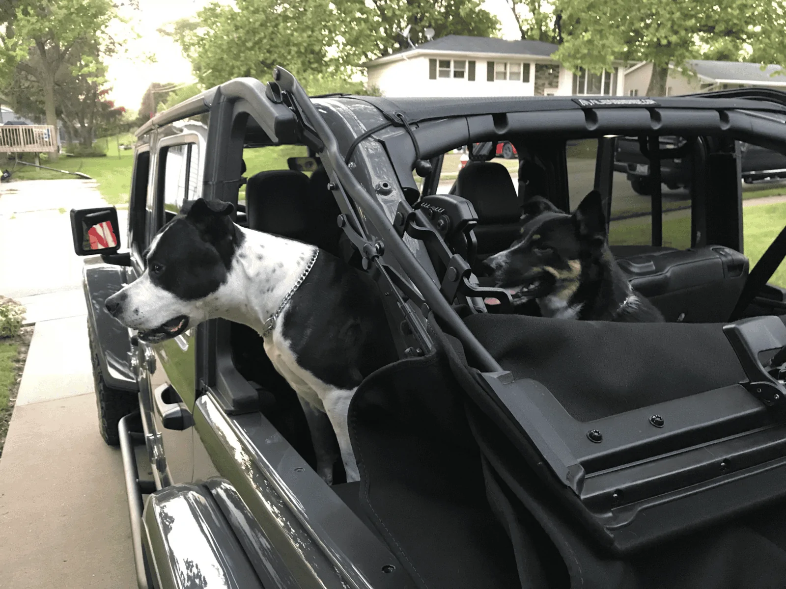Jeep Wrangler JL Jeep Dog pics Jeep Dogs