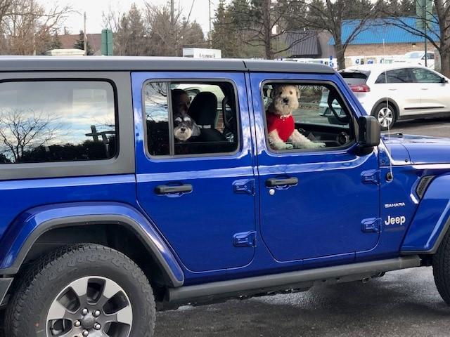 Jeep Wrangler JL The Non-Rubicon Jl & JLU Thread new Wranglers 2