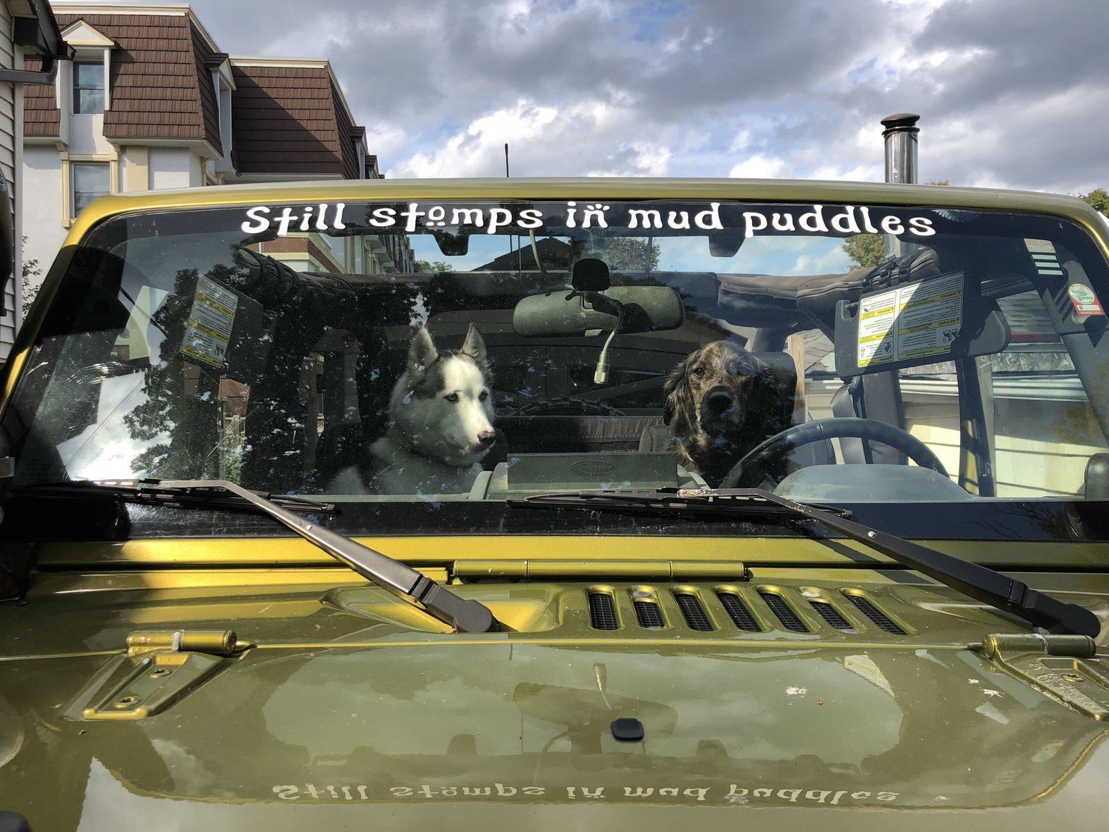 Jeep Wrangler JL Jeep Dog pics 9437C649-7097-4FA2-B4A2-9F08DDC24695