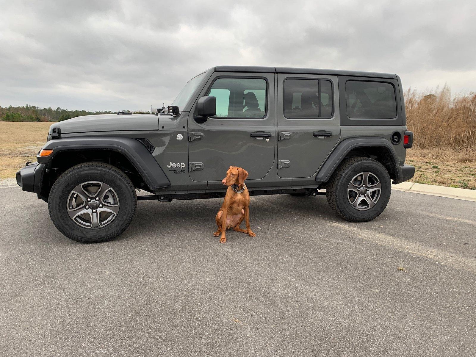 Jeep Wrangler JL Jeep Dog pics C6C2626C-02C3-4E47-9E73-EF71DBE0DCBE