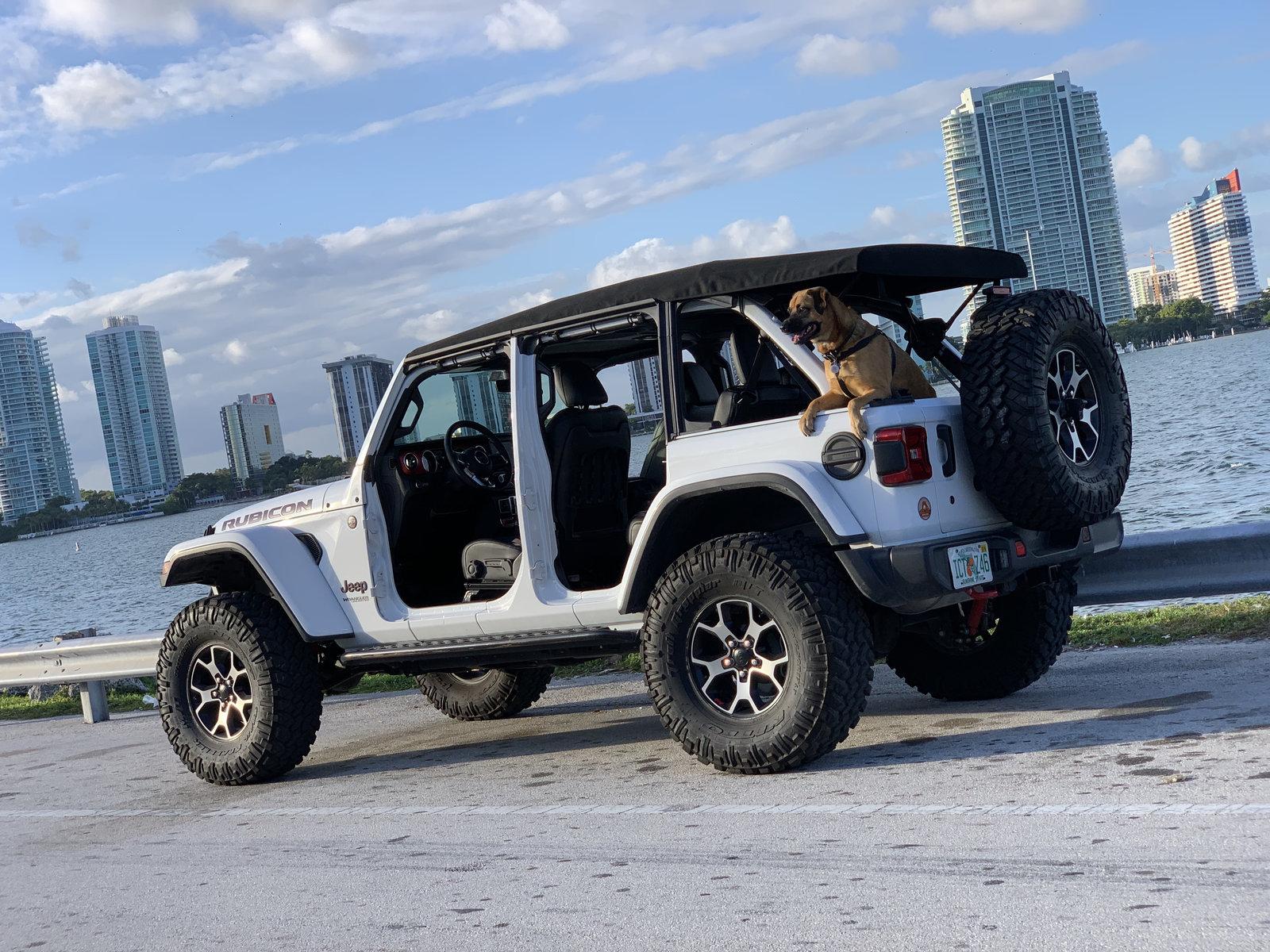 Jeep Wrangler JL Jeep Dog pics IMG_7329 copy