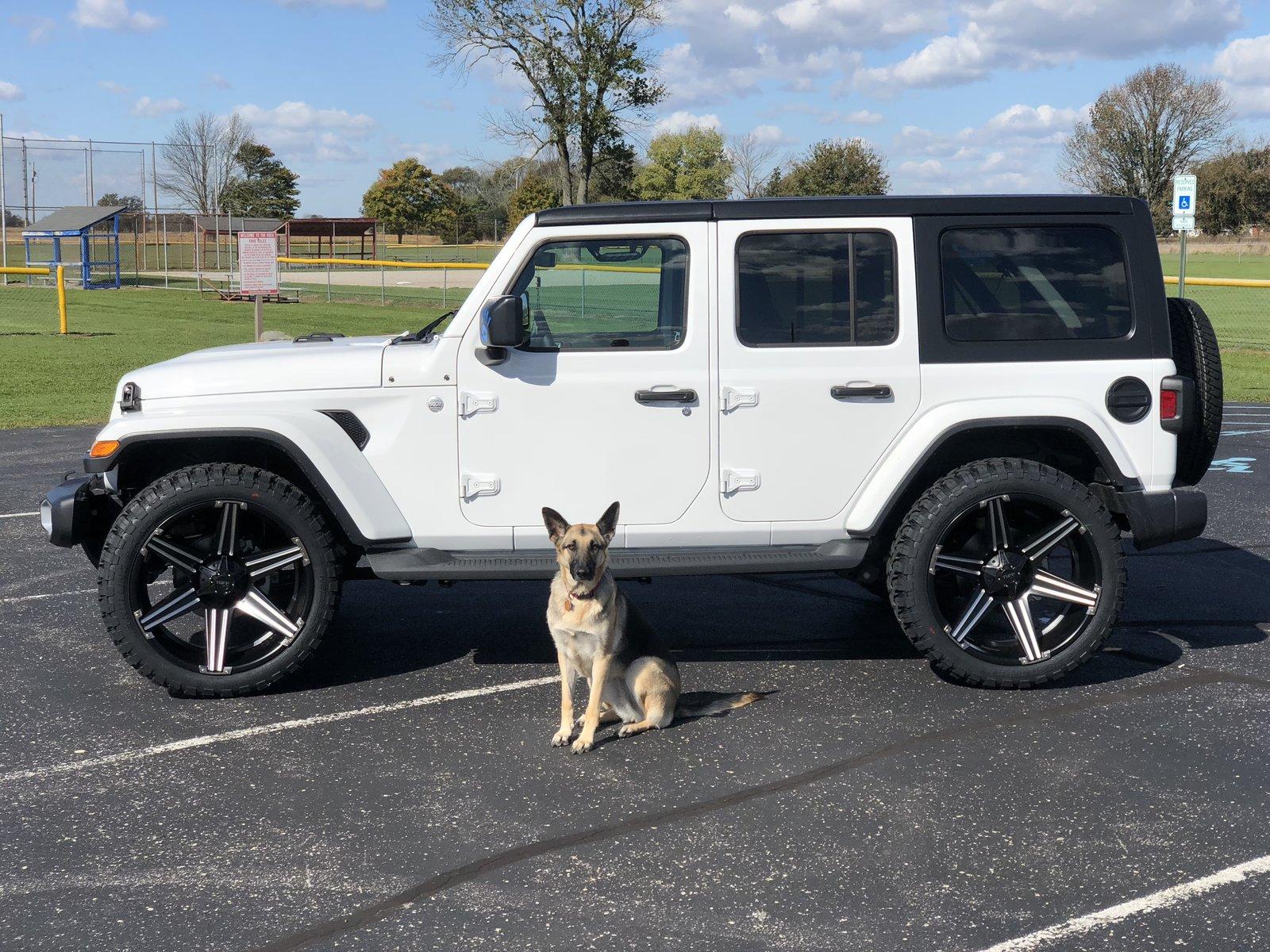 Jeep Wrangler JL Jeep Dog pics 2951C198-70EF-4D55-B395-132B2185E195