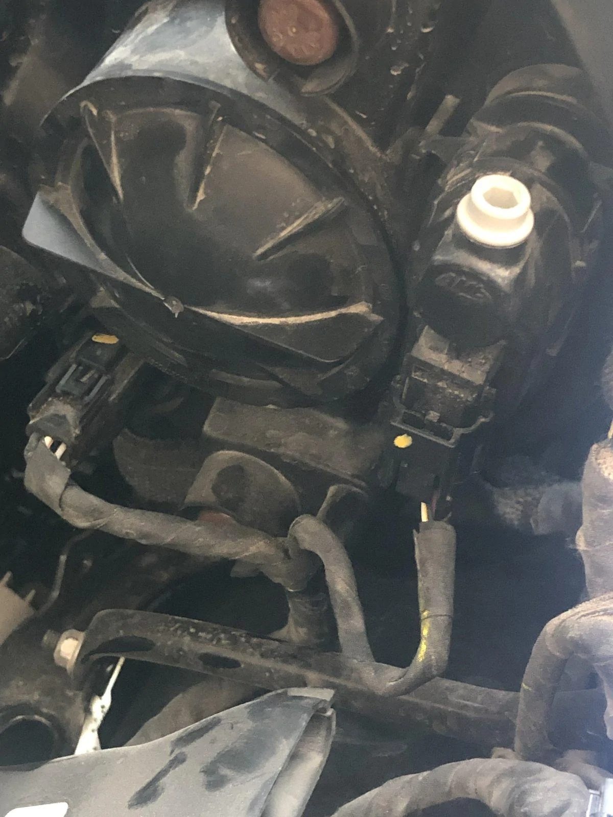 Jeep Wrangler JL How Can We Help? 437E6F8D-5738-4597-8FC6-8F7948865694