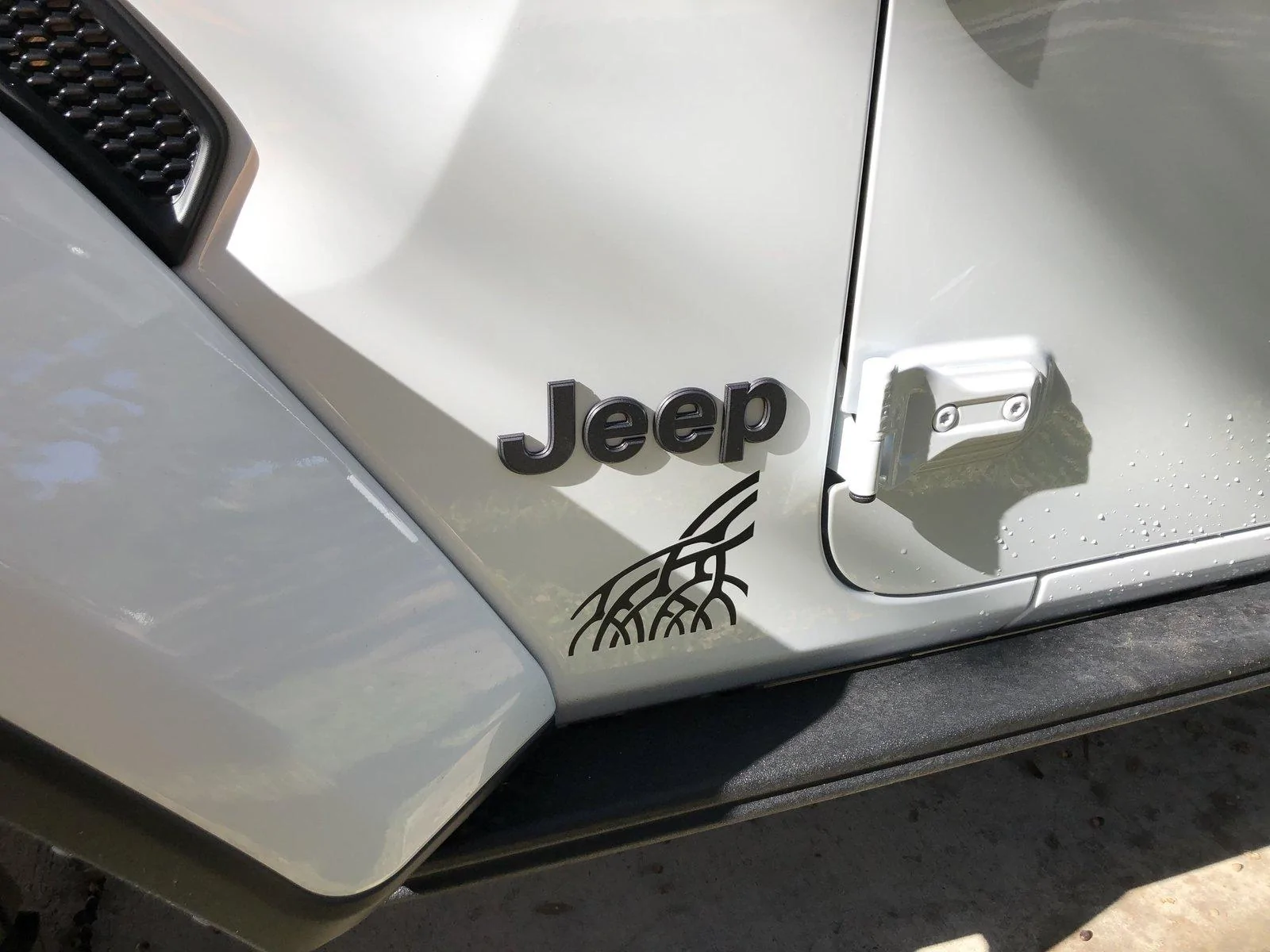 Jeep Wrangler JL What did you do TO your Jeep JL today? IMG_6411