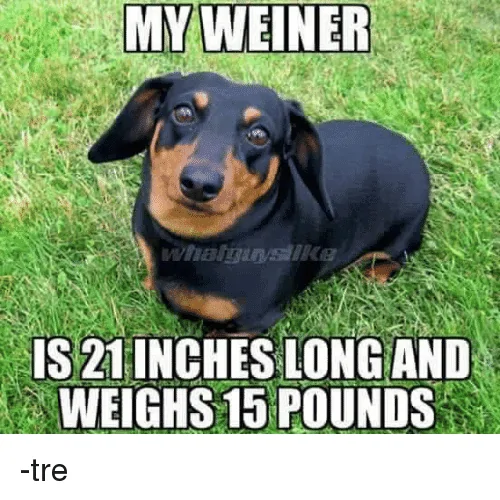Jeep Wrangler JL MOAB...I just don't understand my-weiner-is-21-inches-long-and-weighs-15-pounds-31814969