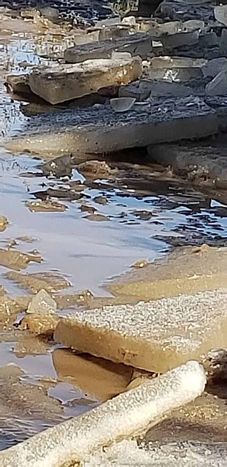 Jeep Wrangler JL Checking out Dove Springs area 20190119_125156