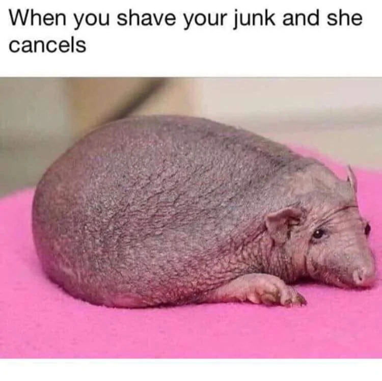 Jeep Wrangler JL Jeep humor waiting room ( ** NO POLITICS ** ) 50343449_2386280308068515_450861803895783424_n