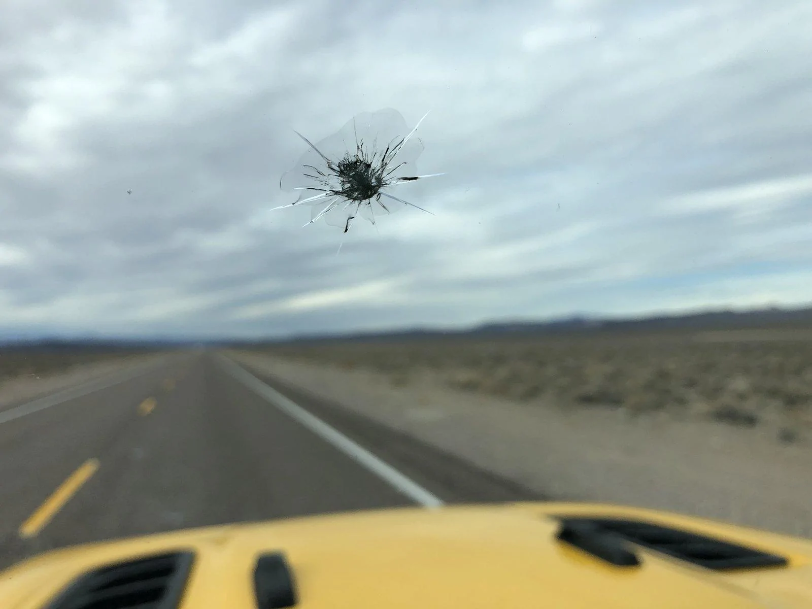 Jeep Wrangler JL What did you do TO your Jeep JL today? 9FB952BD-579E-4238-A9B4-E701F4BAAF7C