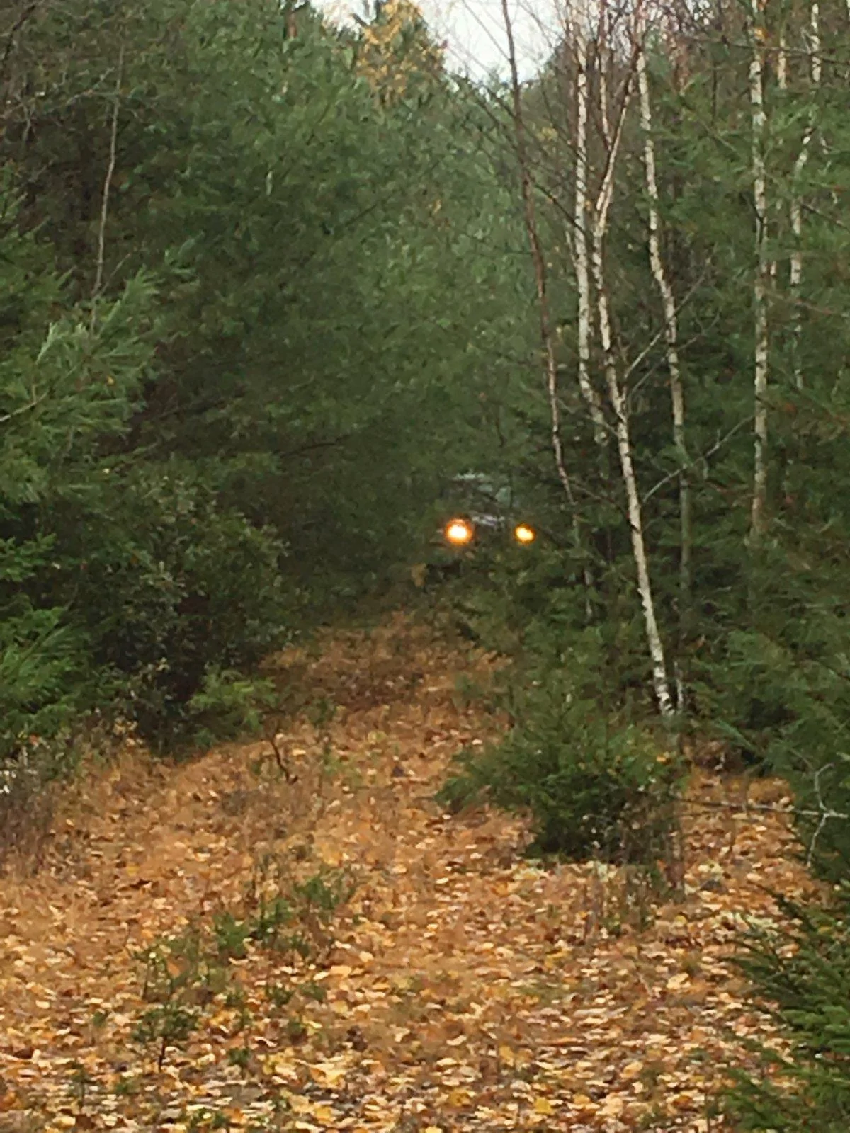 Jeep Wrangler JL 2018 jl sport question IMG_6575