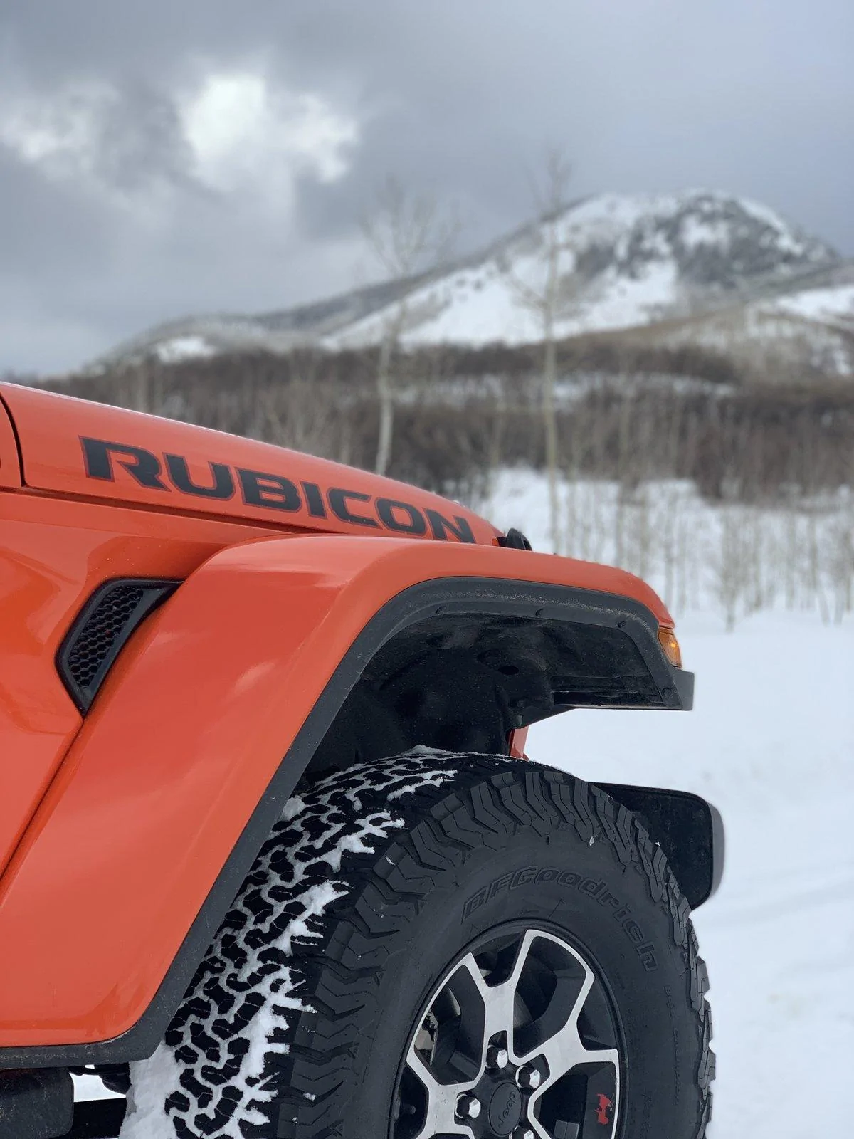 Jeep Wrangler JL Jeeps in Snow... post pics. 77854B65-A494-4637-AD57-25D52F8DD4E4