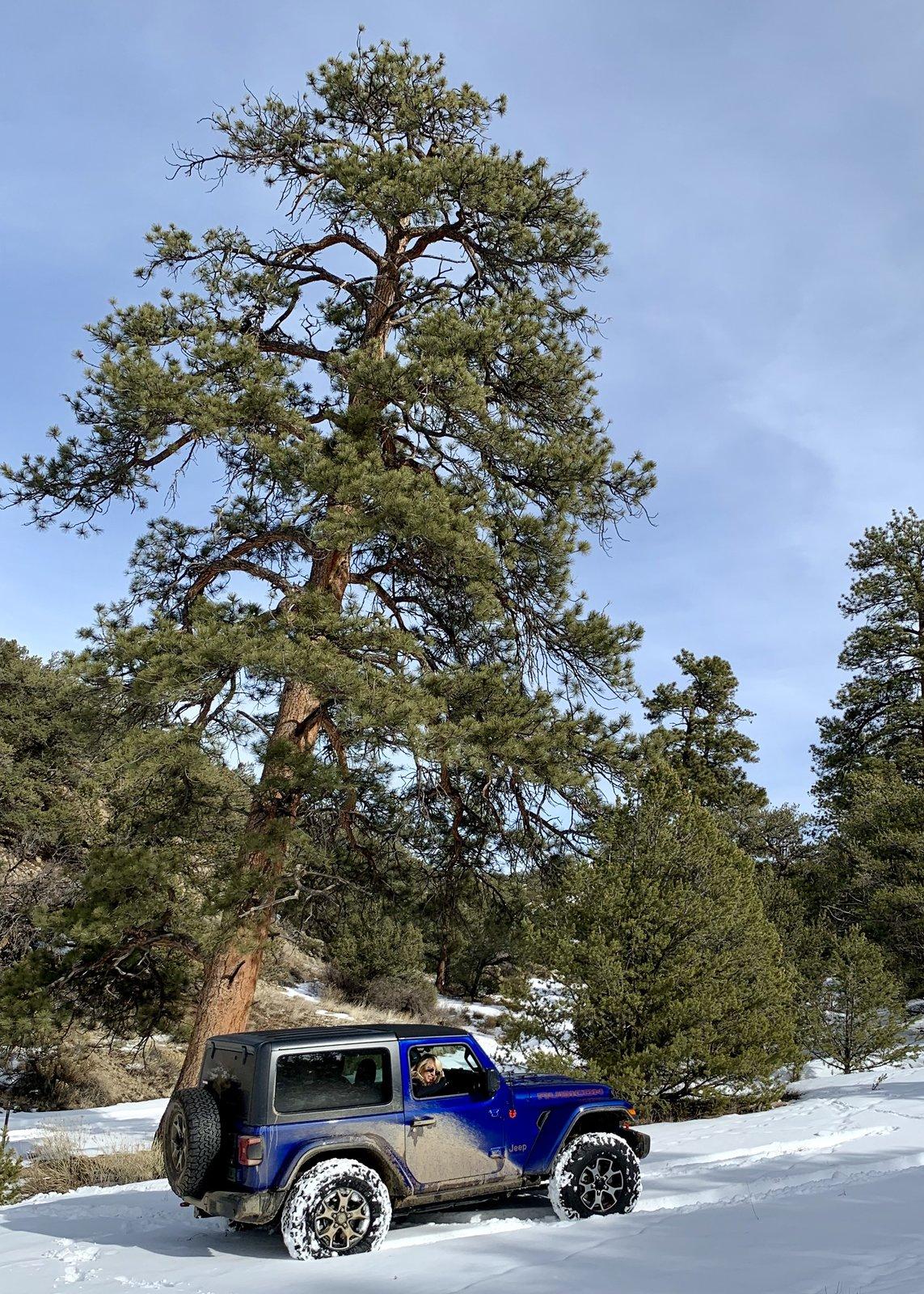 Jeep Wrangler JL Jeeps in Snow... post pics. C1003186-86DC-45BA-8B54-5924FB21C904