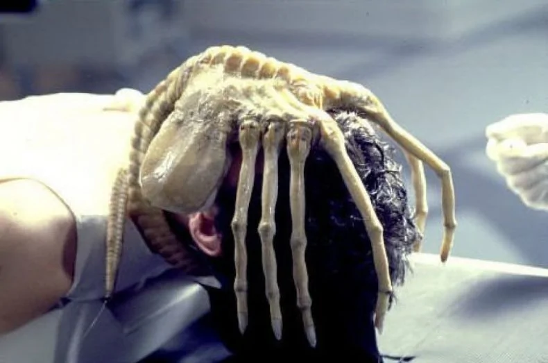 Jeep Wrangler JL Windshield Markings When Cold Xenomorph-facehugger3-790x523