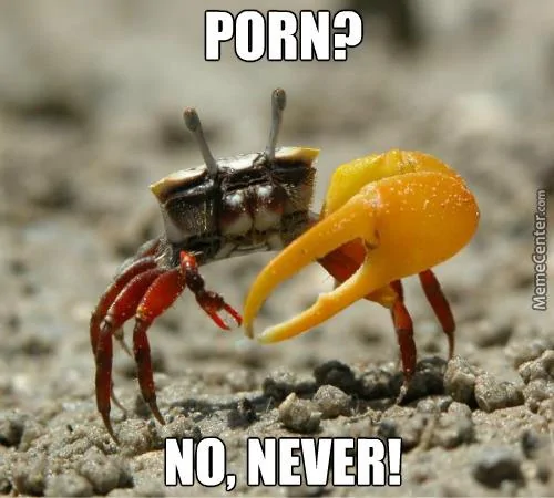 Jeep Wrangler JL MOAB...I just don't understand wonder-what-porn-fiddler-crabs-watch_o_2856613