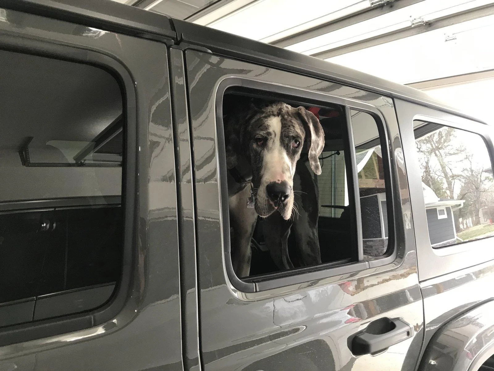 Jeep Wrangler JL Jeep Dog pics EA36D76B-34F8-4109-AFC1-C51FF41AE318