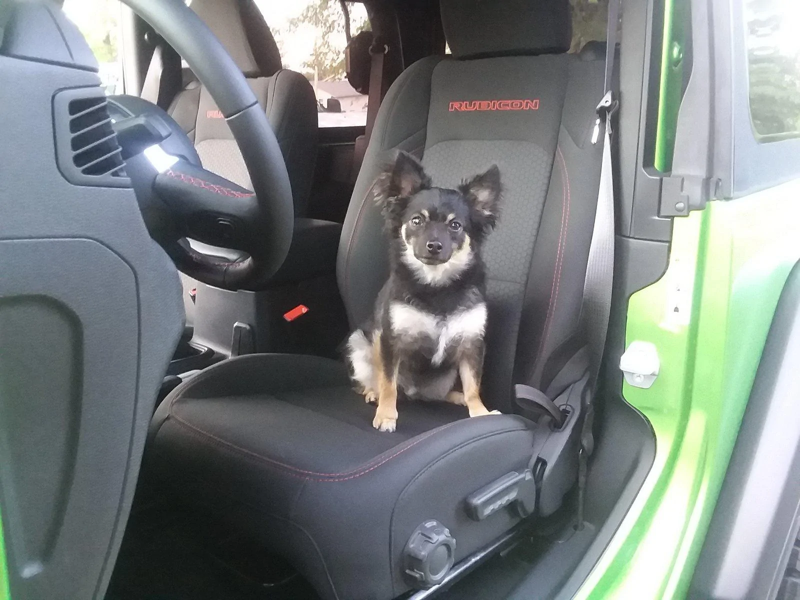 Jeep Wrangler JL Jeep Dog pics EF596316-1249-4C1C-BDE8-6DAAA3A1D481