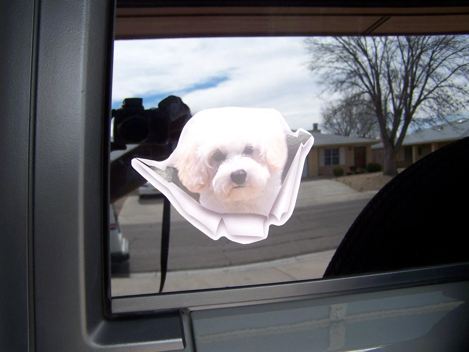 Jeep Wrangler JL Jeep Dog pics 100_4055