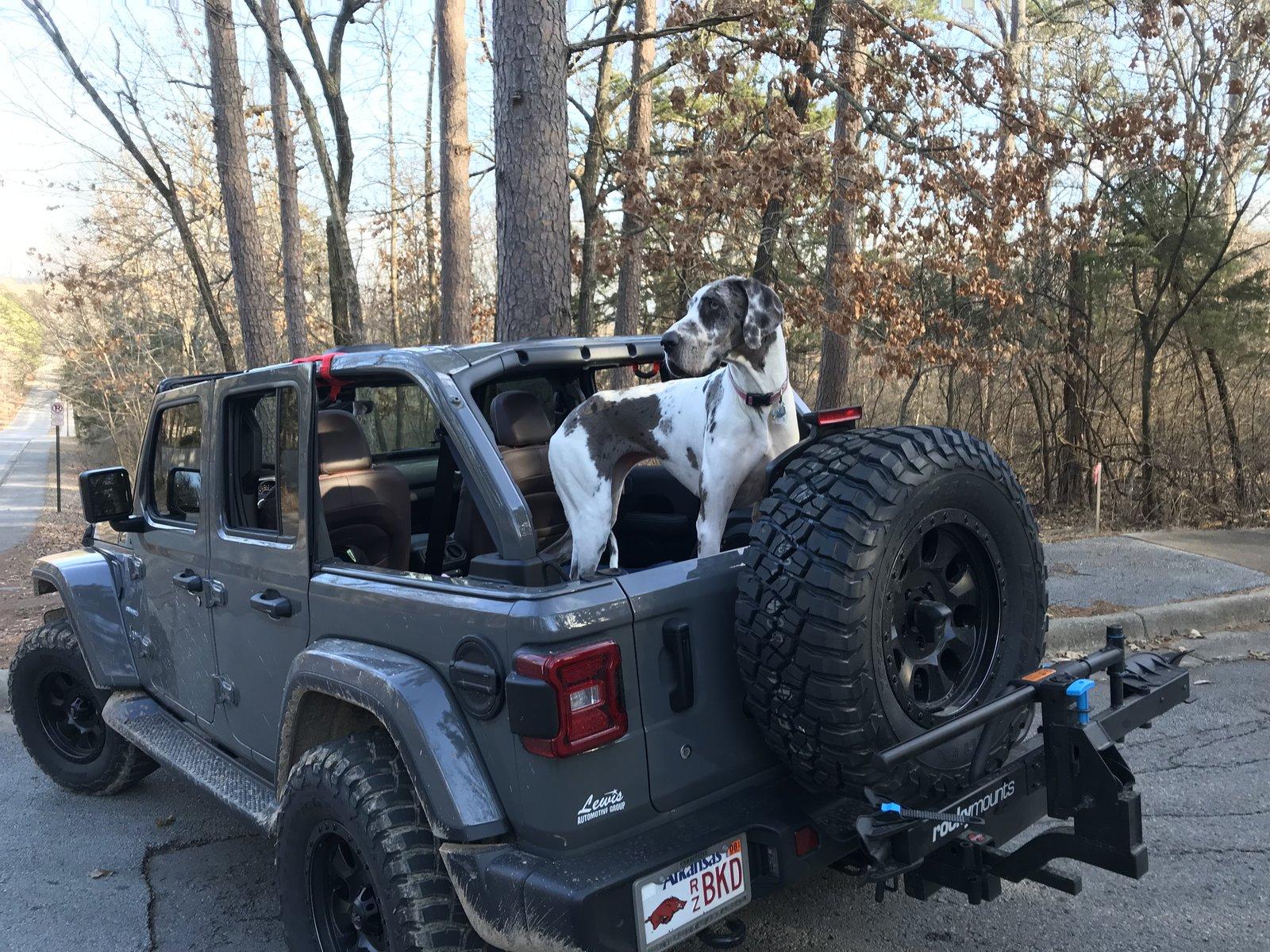 Jeep Wrangler JL Jeep Dog pics 47817EEC-BF0E-4589-8068-4327DEF08576