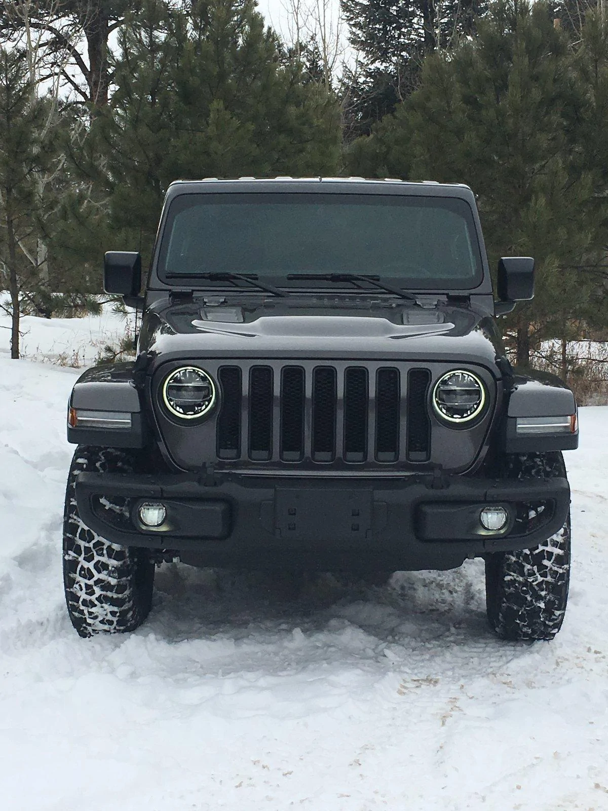 Jeep Wrangler JL MOAB Edition JL Club Thread IMG_1176