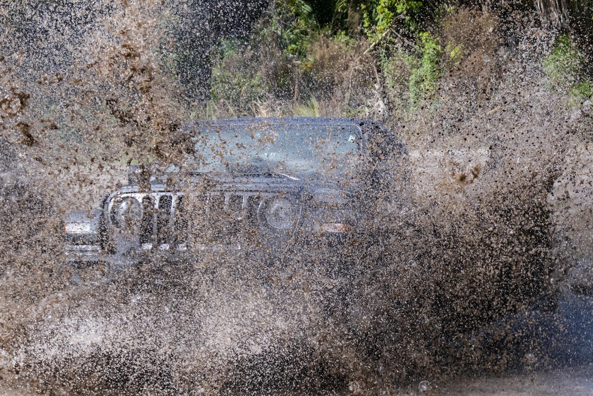 Jeep Wrangler JL Florida Roll Call! Bob & Me FLT (Me Splash TJP9640D500)