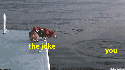 F13DBB9C-2E63-4F50-9313-22F75227D4A5.gif