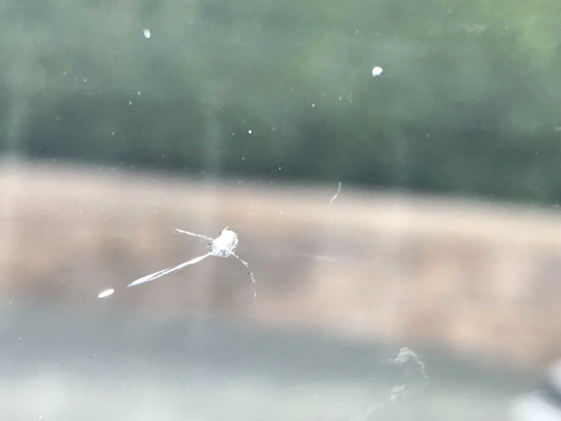 Jeep Wrangler JL How many miles until your first windshield rock chip? hairlin