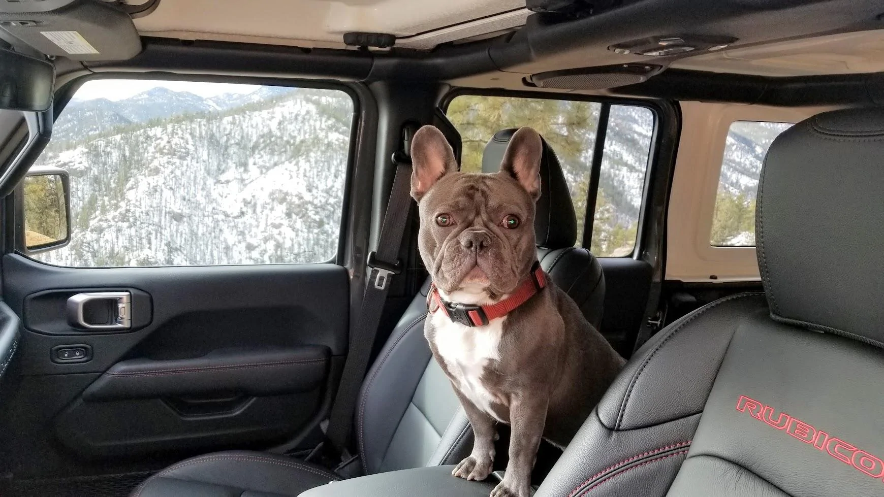 Jeep Wrangler JL Perception vs Reality 20190127_105930