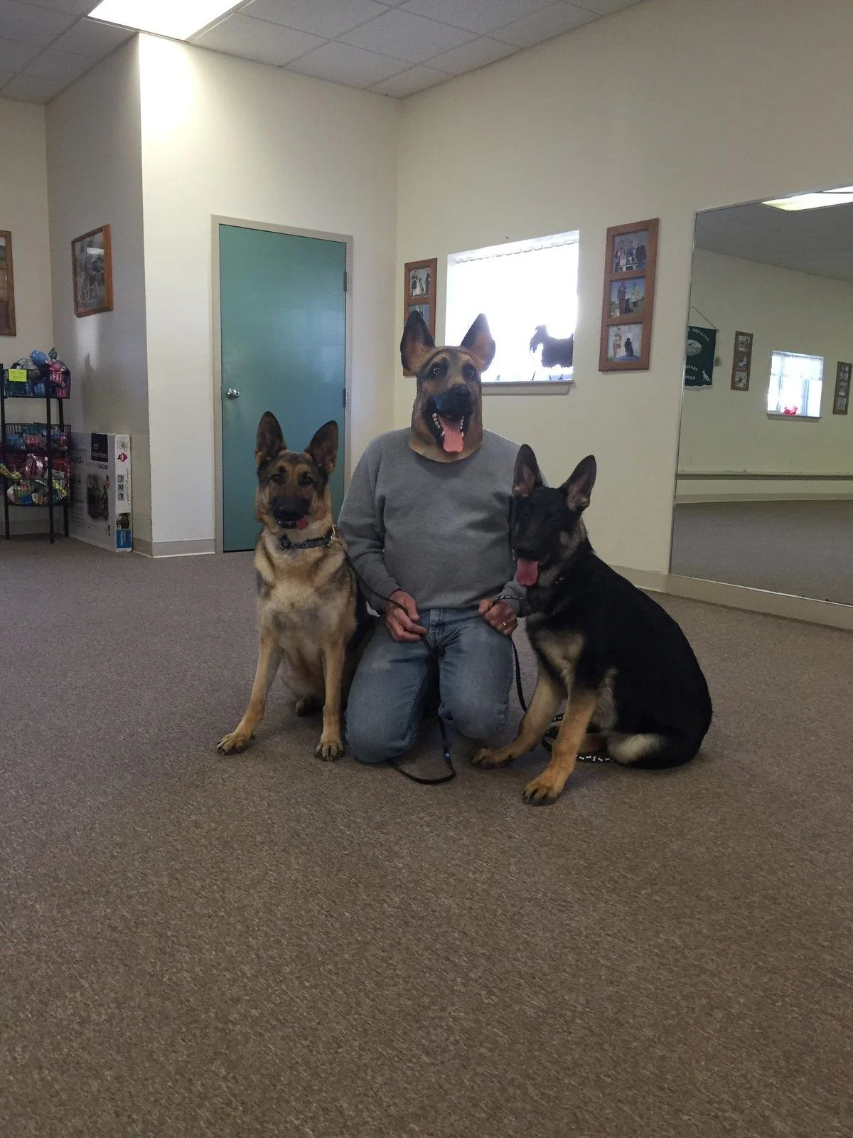Jeep Wrangler JL Jeep Dog pics B9B2E8F2-67DA-472A-B4BD-60502A83C2AD