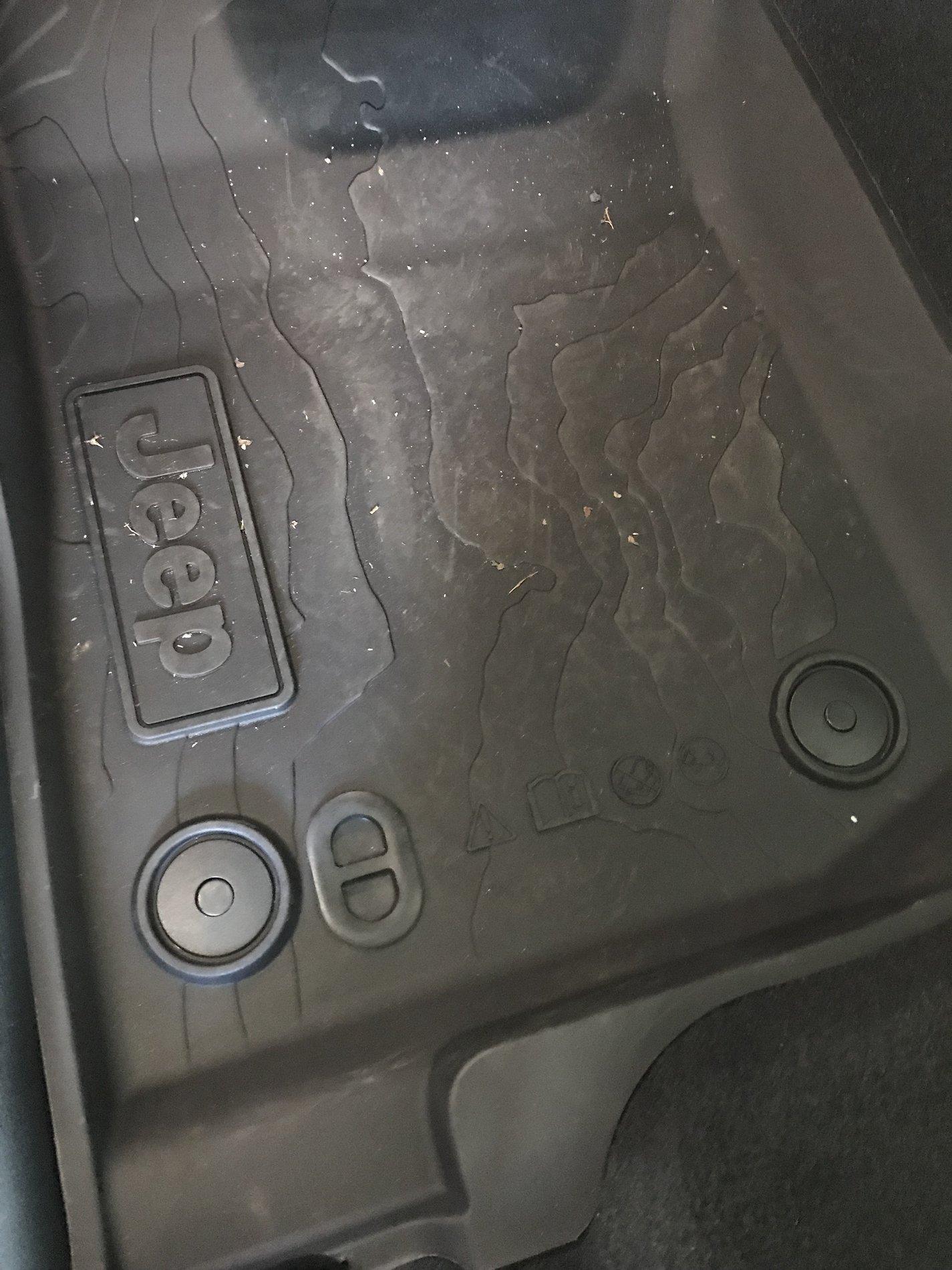 Jeep Wrangler JL Show off your Delivered JL Here! B9D9DA9E-685B-48D5-9C39-43AF74C0F318