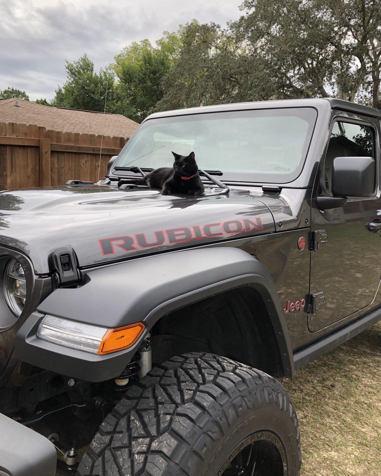 Jeep Wrangler JL What did you do TO your Jeep JL today? F6264572-6B70-4DBD-AEDC-B18F274EAC84