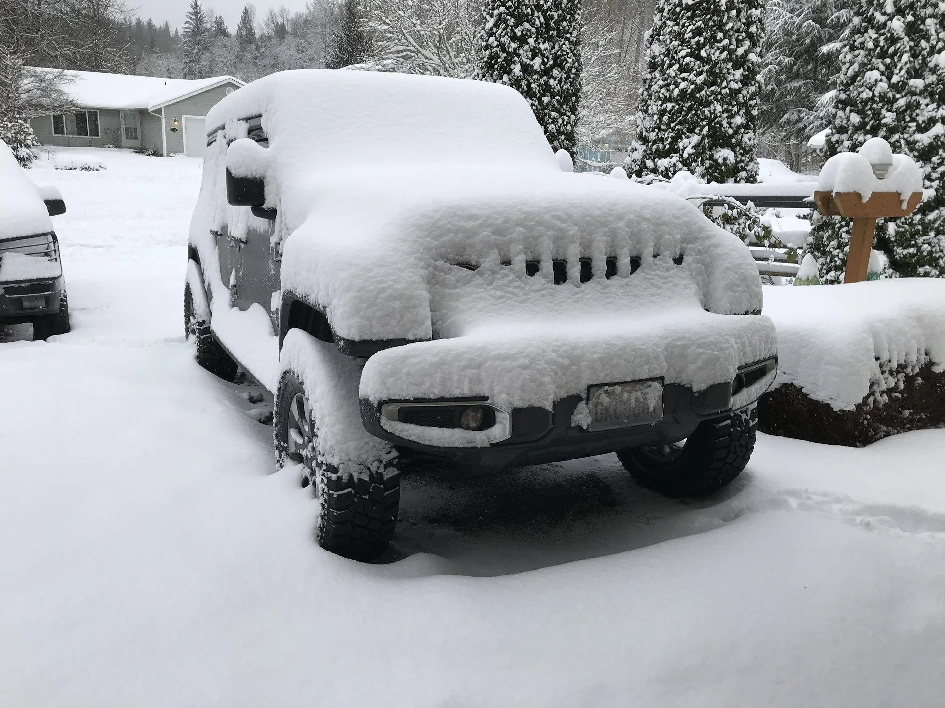 Jeep Wrangler JL Jeeps in Snow... post pics. EB73BBEC-4E9E-4B26-A1EA-292E3F9A520B