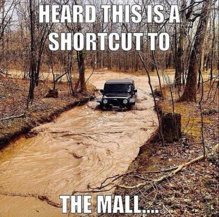 Jeep Wrangler JL Jeep humor waiting room ( ** NO POLITICS ** ) 400CFF41-2EC2-47F5-B8E5-345155C64A75