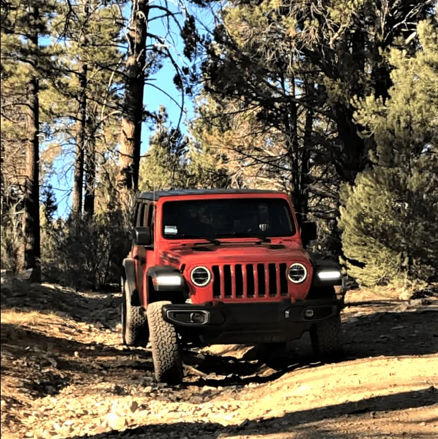 Jeep Wrangler JL Rock the Stock thread IMG_1320c
