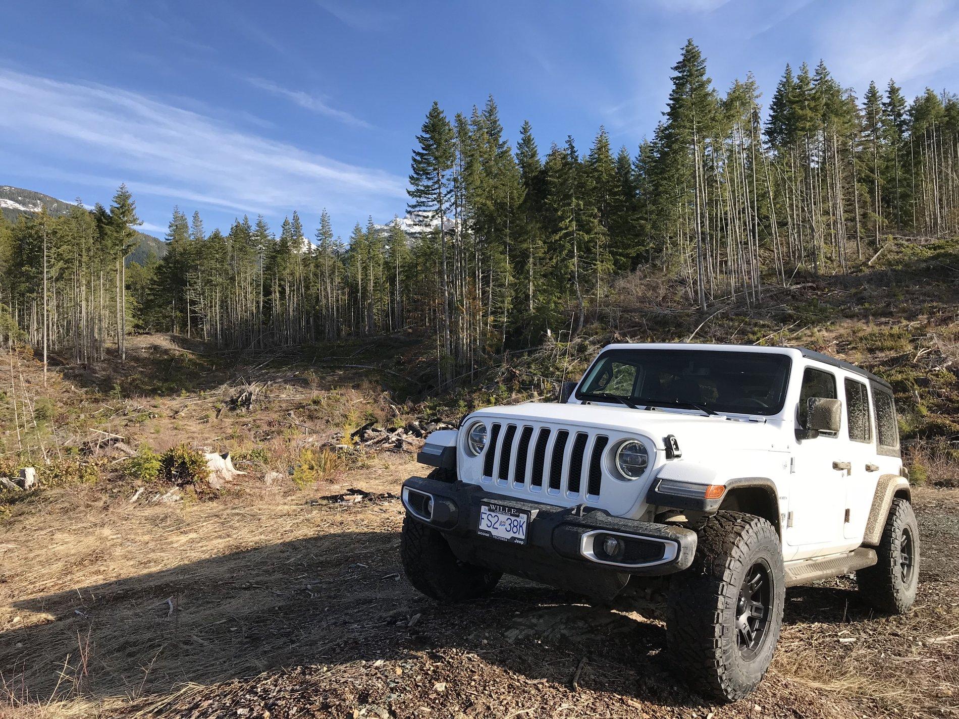 Jeep Wrangler JL Sahara AEV 17" Wheels with Nitto Ridge Grappler 285/70-17? r1abUHPoSMKmoKQMIrhuVQ