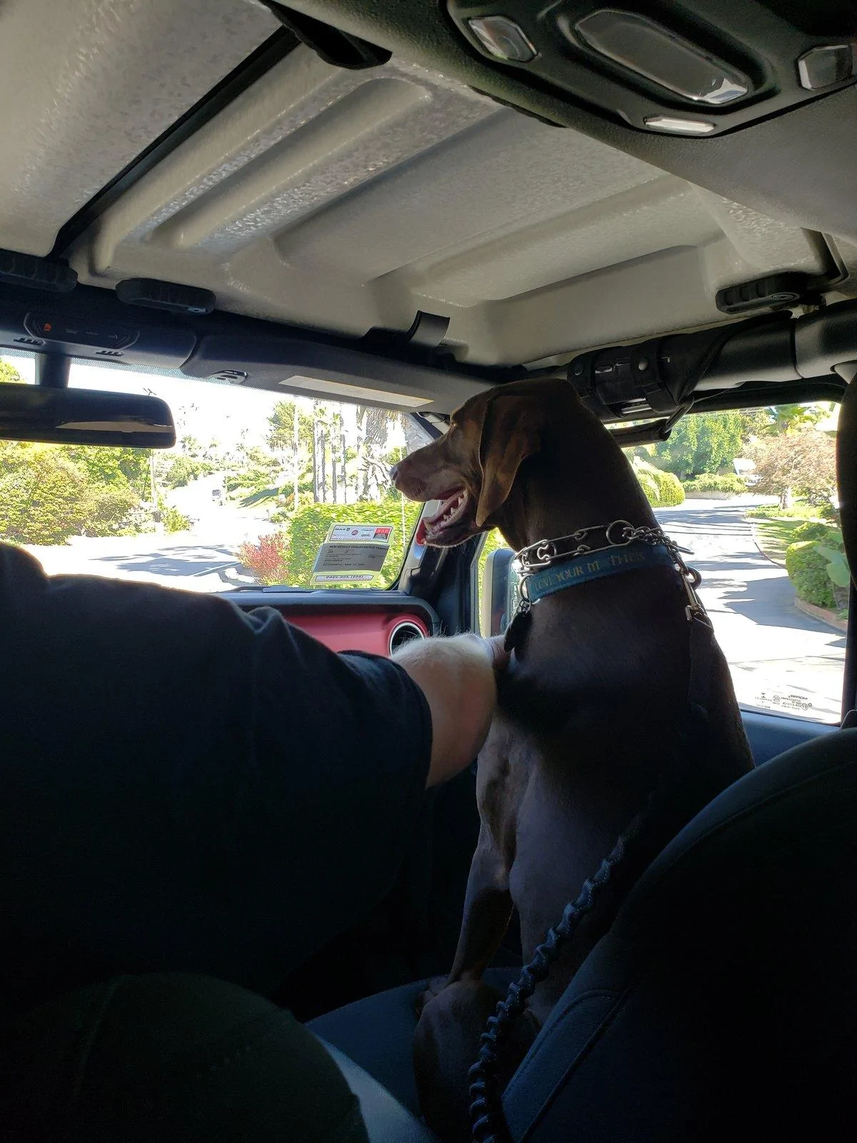 Jeep Wrangler JL Jeep Dog pics 20190330_161821
