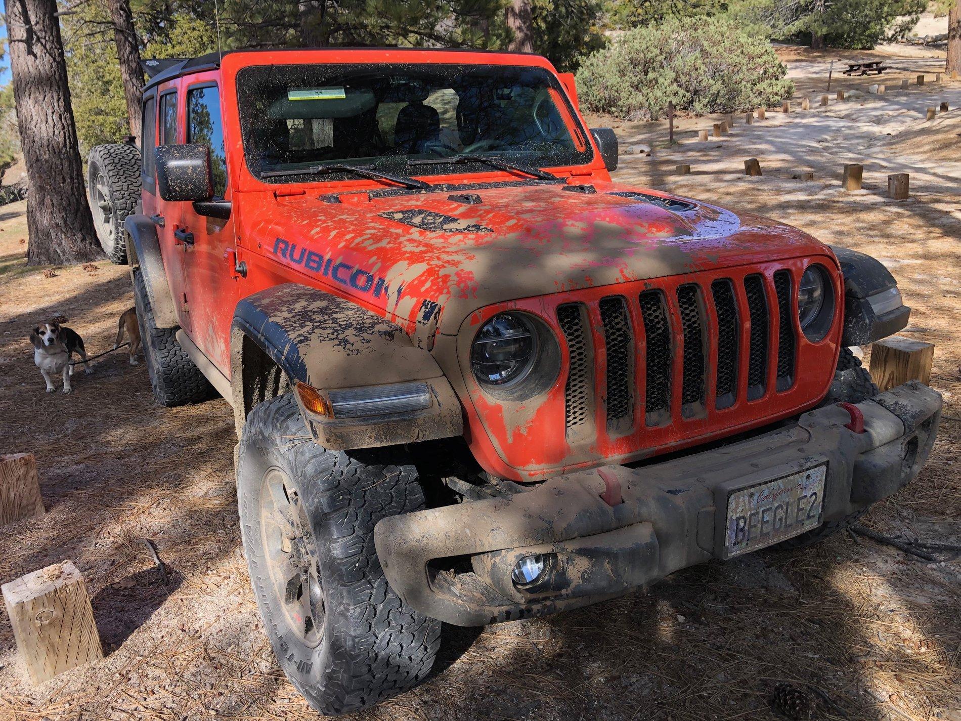 Jeep Wrangler JL Any meet for beginners? IMG_1391.JPG