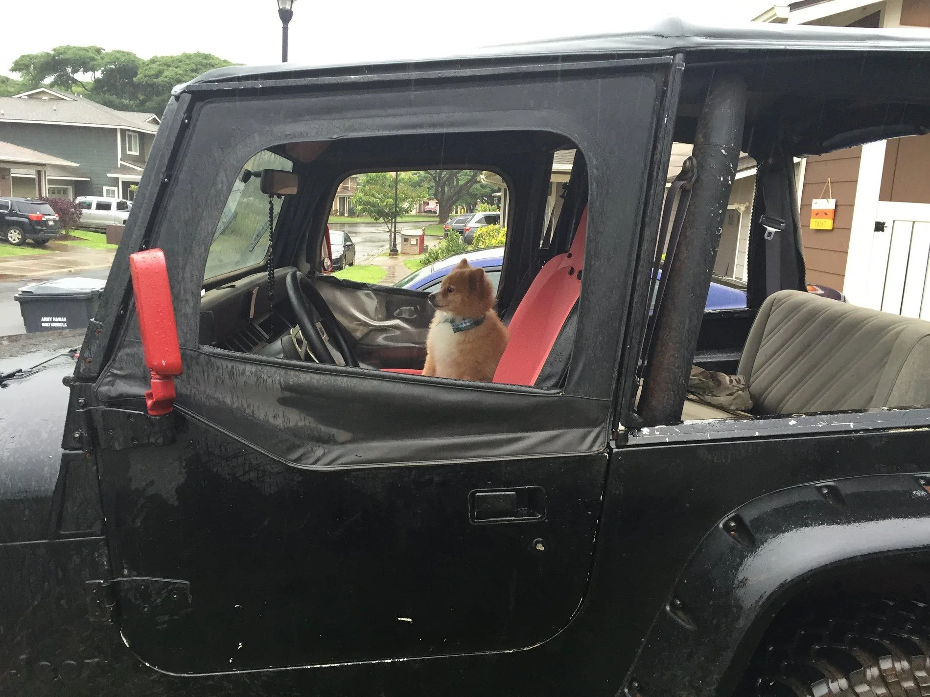 Jeep Wrangler JL Jeep Dog pics 51701011-4C8C-4855-A9E3-6D45822FC93E