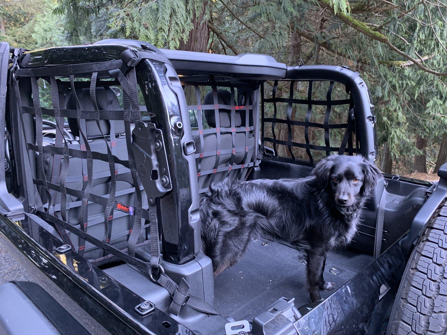 Jeep Wrangler JL Jeep Dog pics Photo Mar 31, 5 54 11 PM