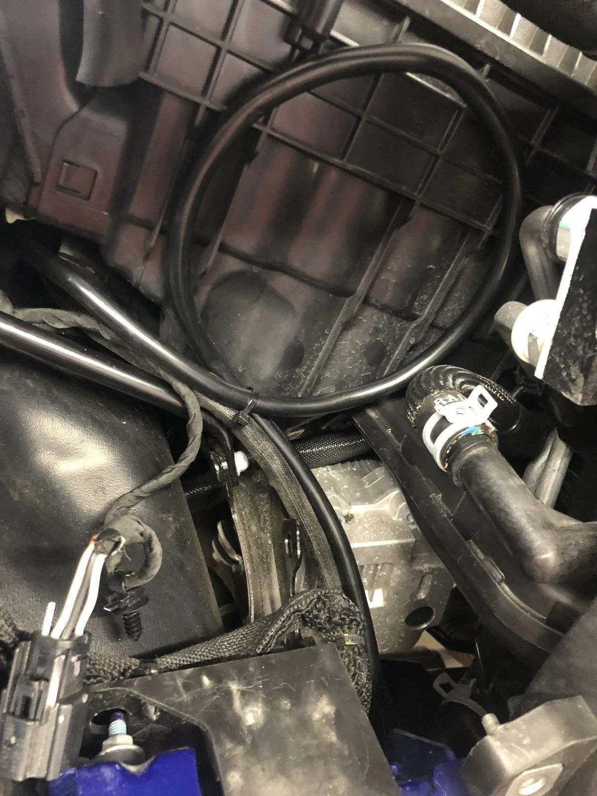 Jeep Wrangler JL What did you do TO your Jeep JL today? 98B4F63A-FA61-49EA-8D69-42D781141EF0