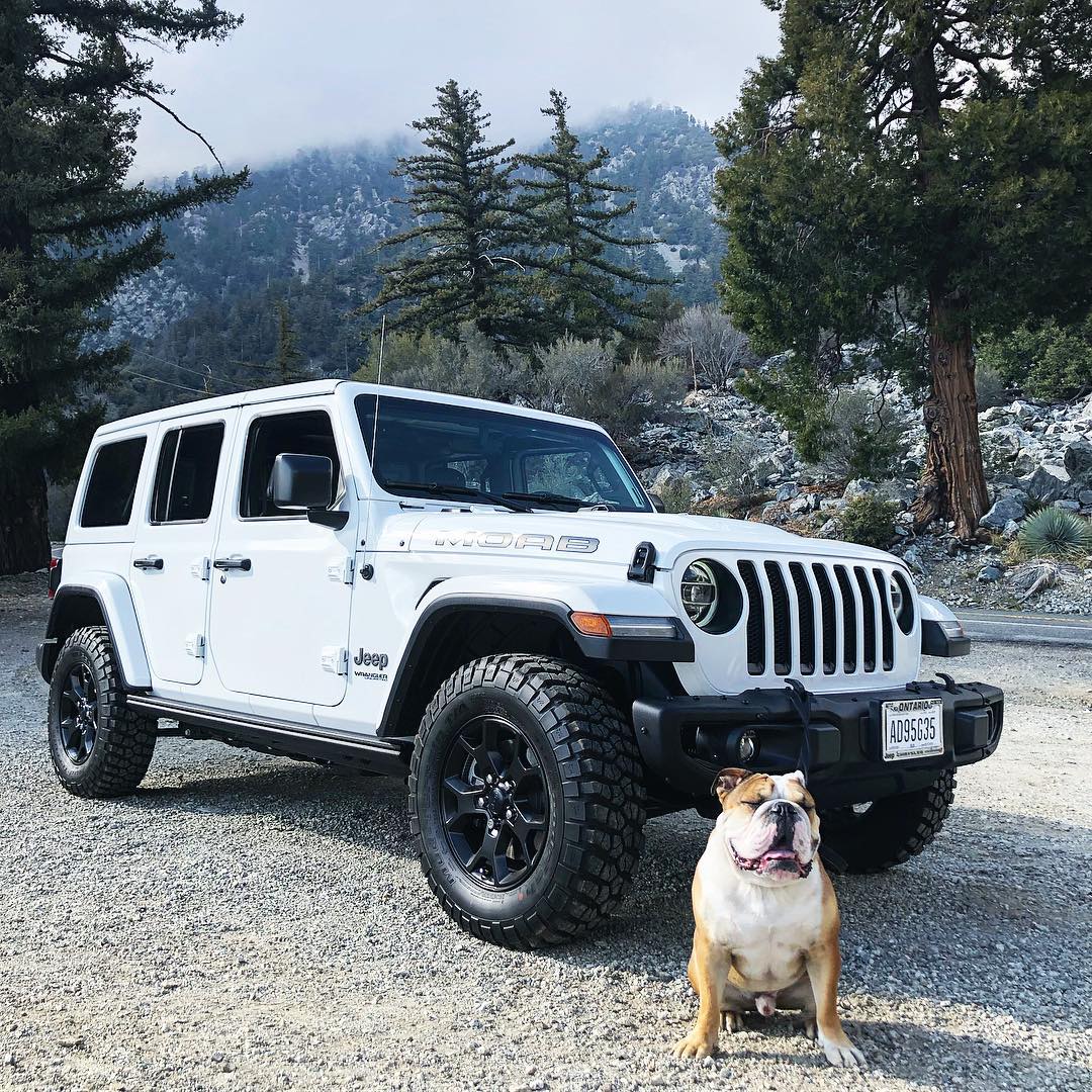 Jeep Wrangler JL MOAB Edition JL Club Thread ?temp_hash=ec82ac56b217aa6042c1b404505baa9b