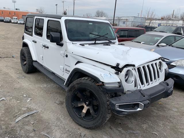 Jeep Wrangler JL Whoops, Tree Hugger IMG_6658