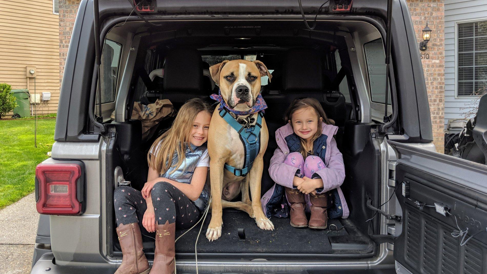 Jeep Wrangler JL Jeep Dog pics IMG_20190406_111333