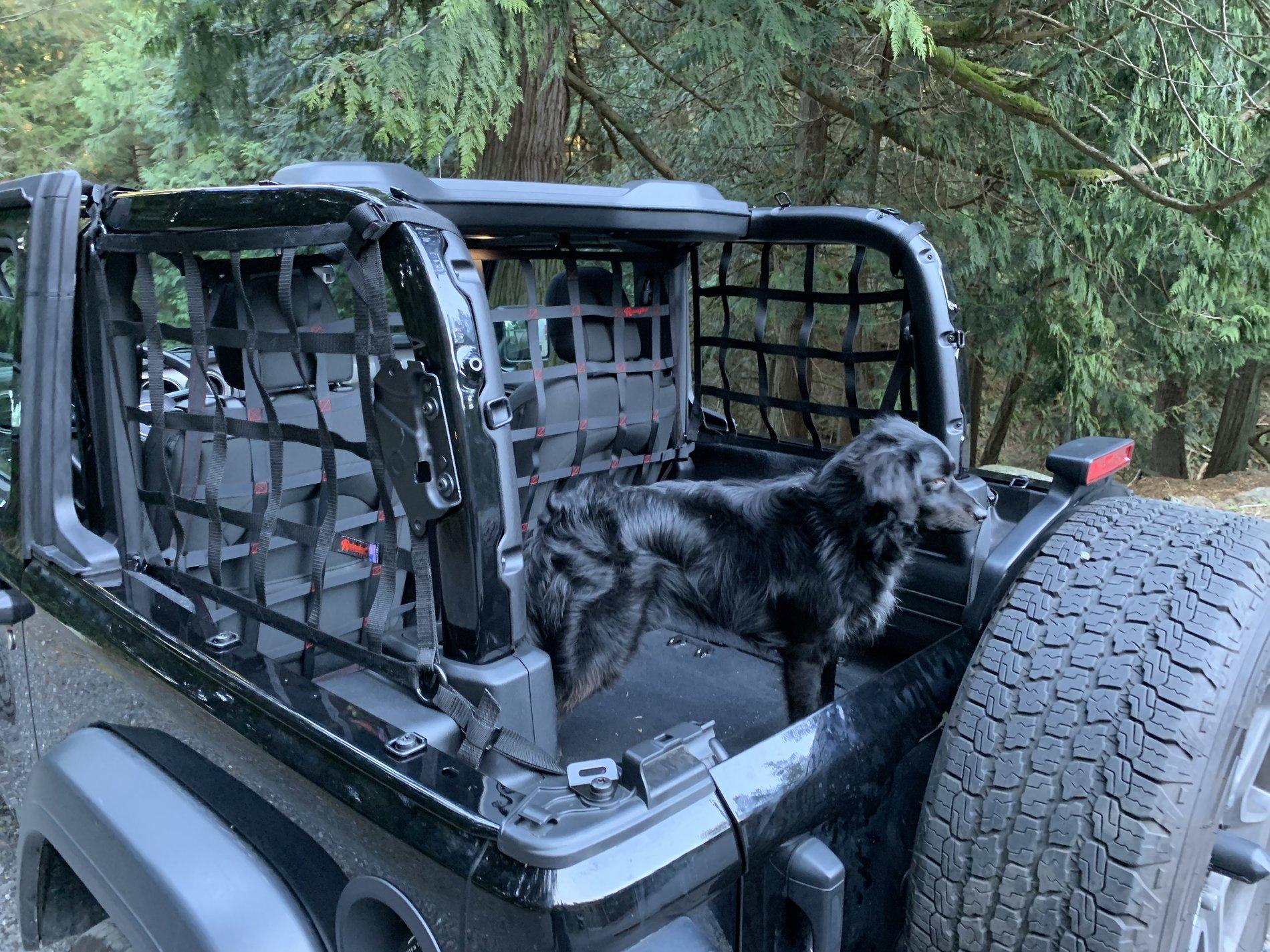 Jeep Wrangler JL Tops off... Dogs in Photo Mar 31, 5 54 04 PM