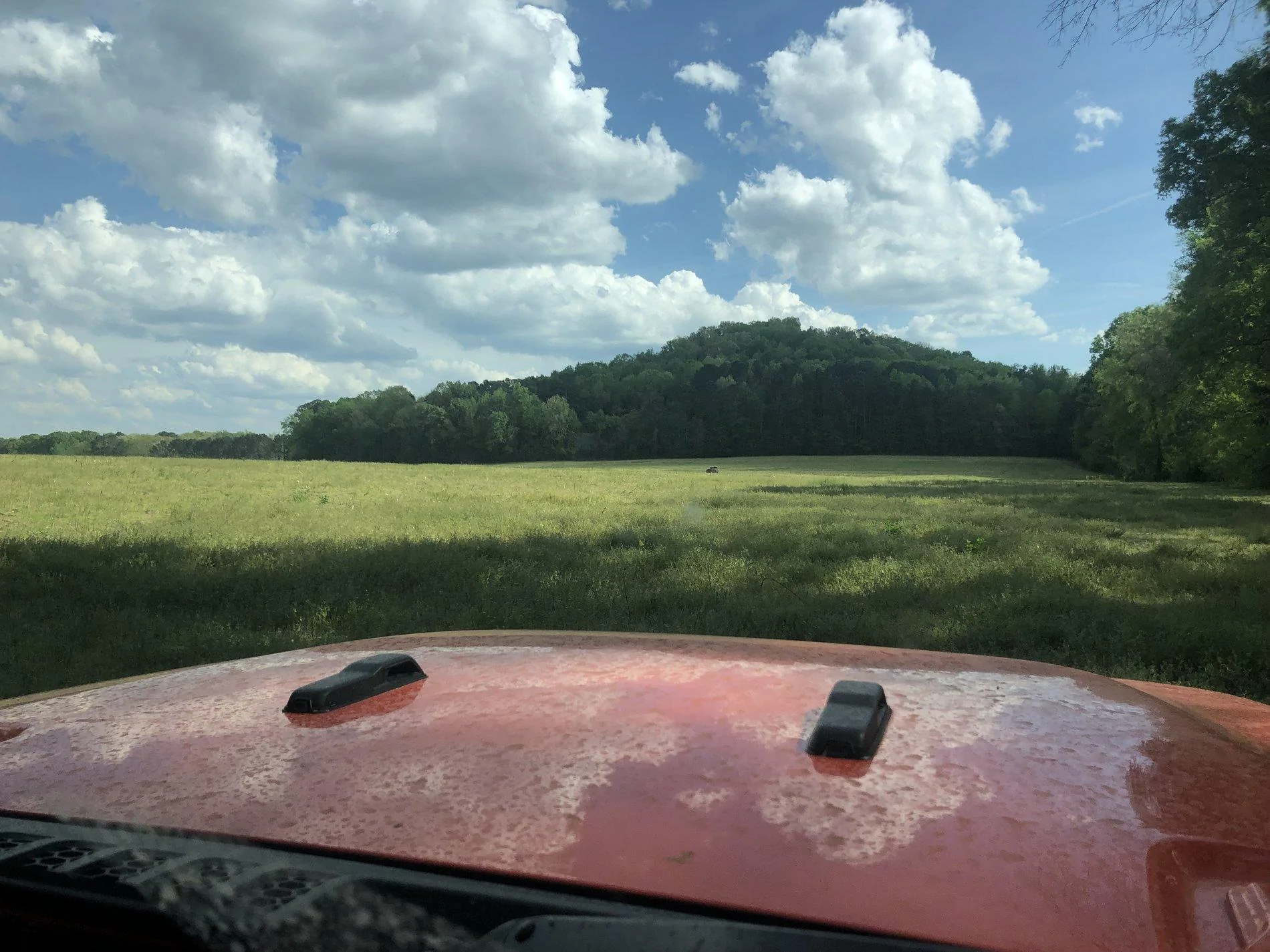Jeep Wrangler JL The Non-Rubicon Jl & JLU Thread 382C728C-8F90-4783-AB8E-83619FAE1930