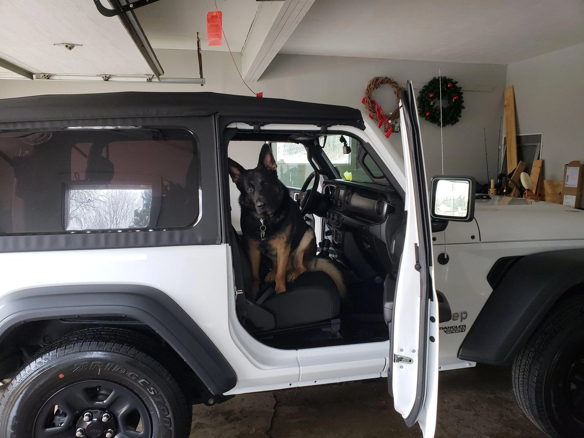Jeep Wrangler JL Jeep Dog pics 20190204_133551