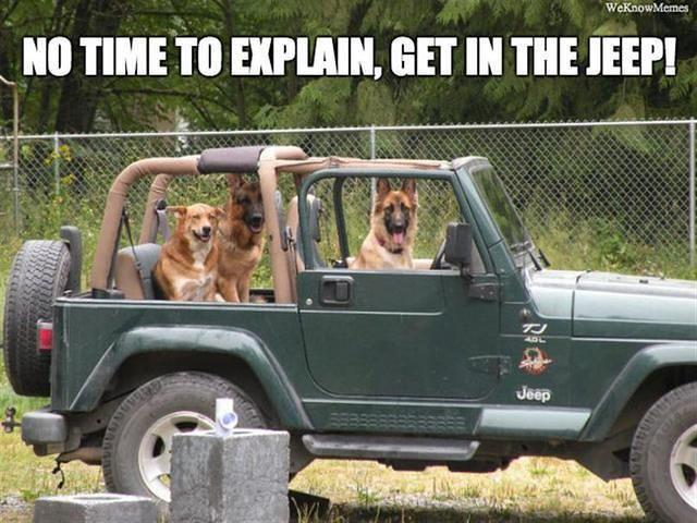 Jeep Wrangler JL Jeep humor waiting room ( ** NO POLITICS ** ) 3712CC84-2073-4460-BD27-722FAB71A263