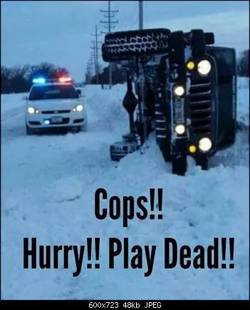 d0d875ea6bb478f5a602f789fdeac40f.webp