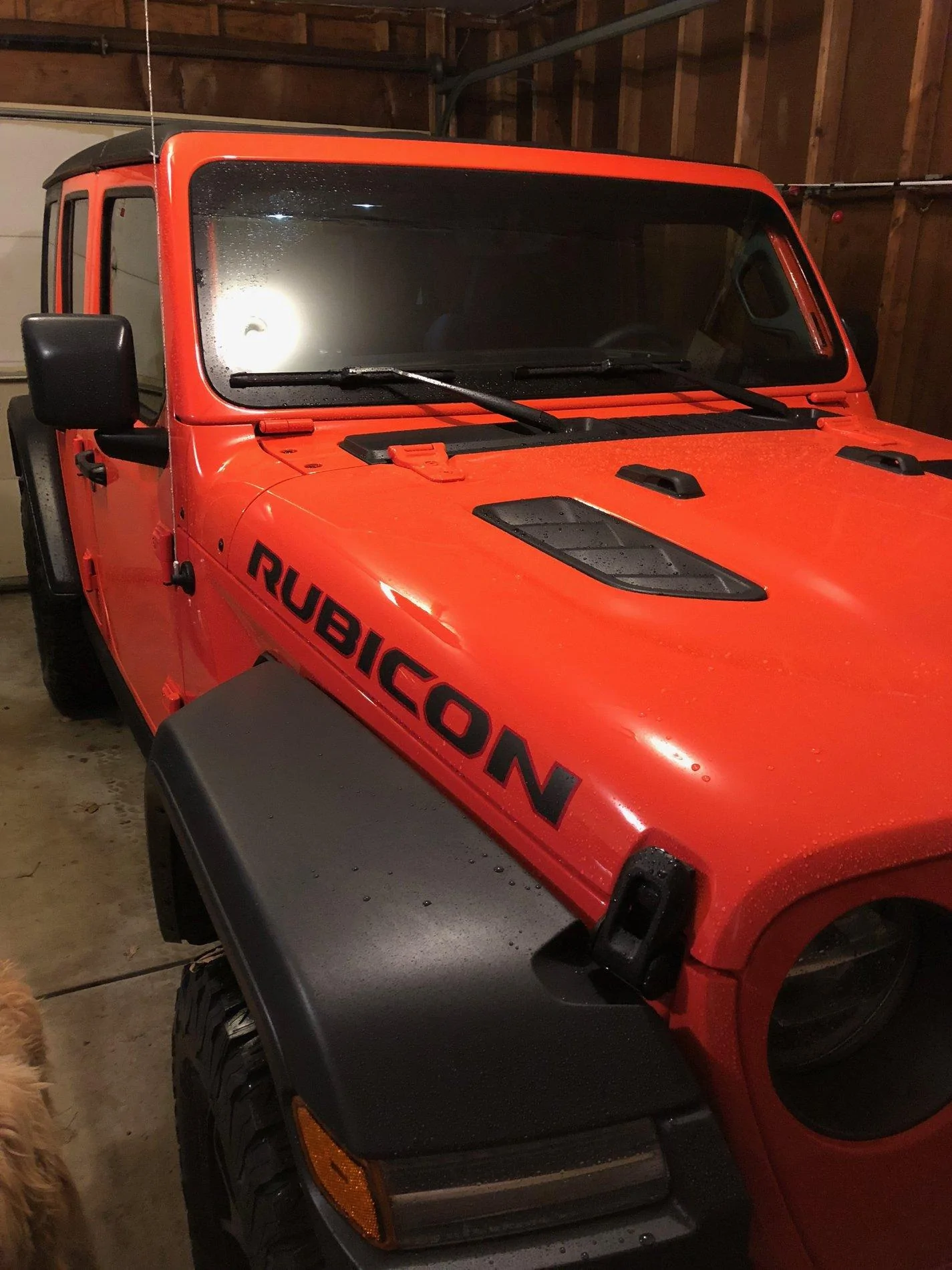 Jeep Wrangler JL PUNK'N Wrangler Jl club IMG_1069