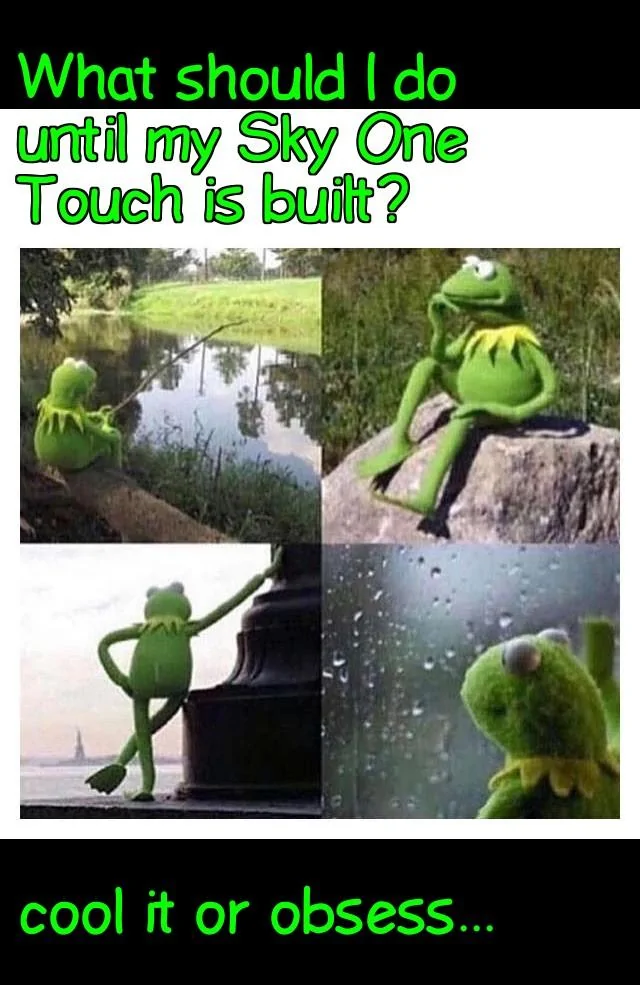 Jeep Wrangler JL Jeep humor waiting room ( ** NO POLITICS ** ) Waiting kermit 03032018223532