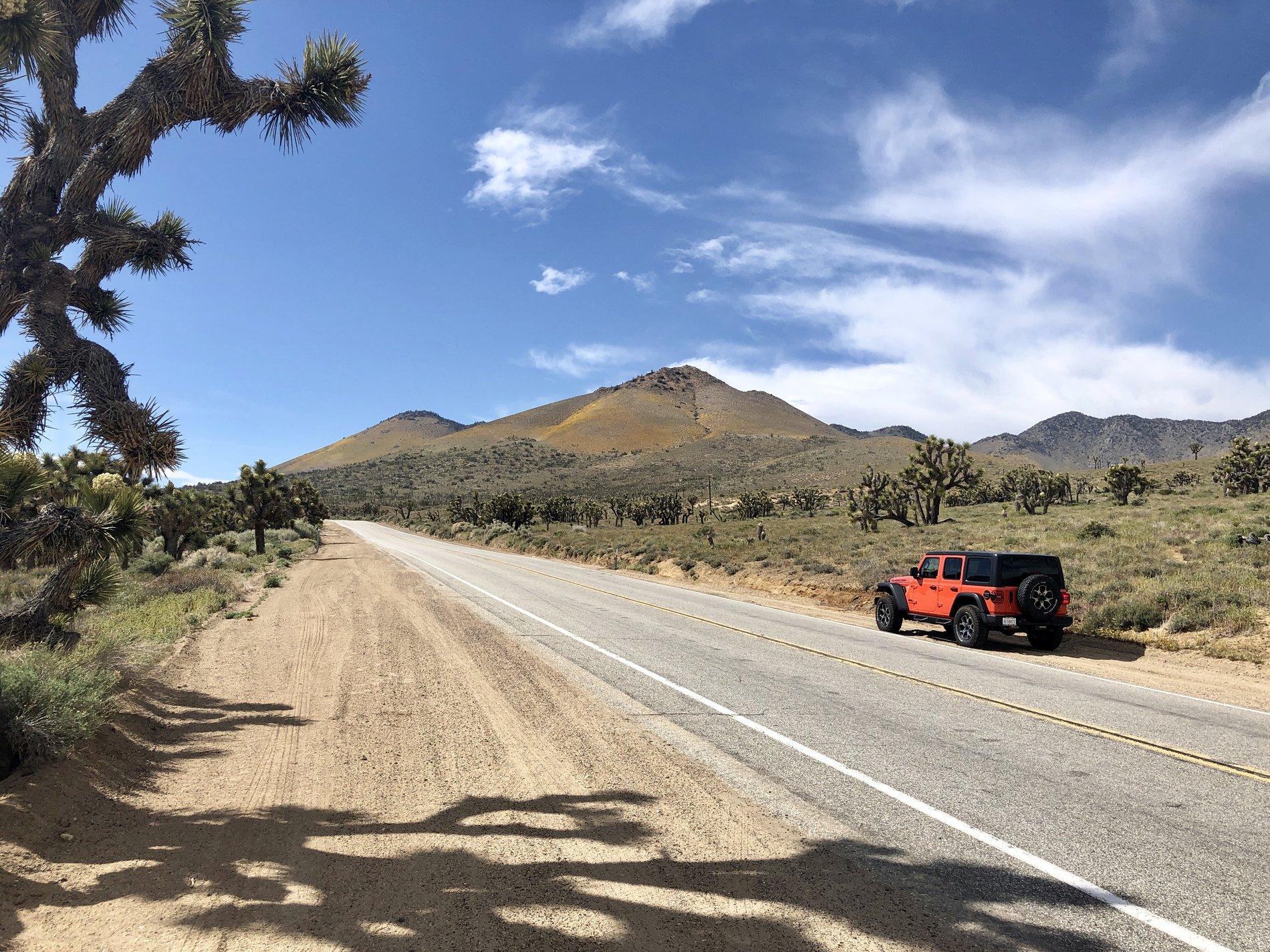 Jeep Wrangler JL Introductions & Welcome Thread 👋 IMG_7005
